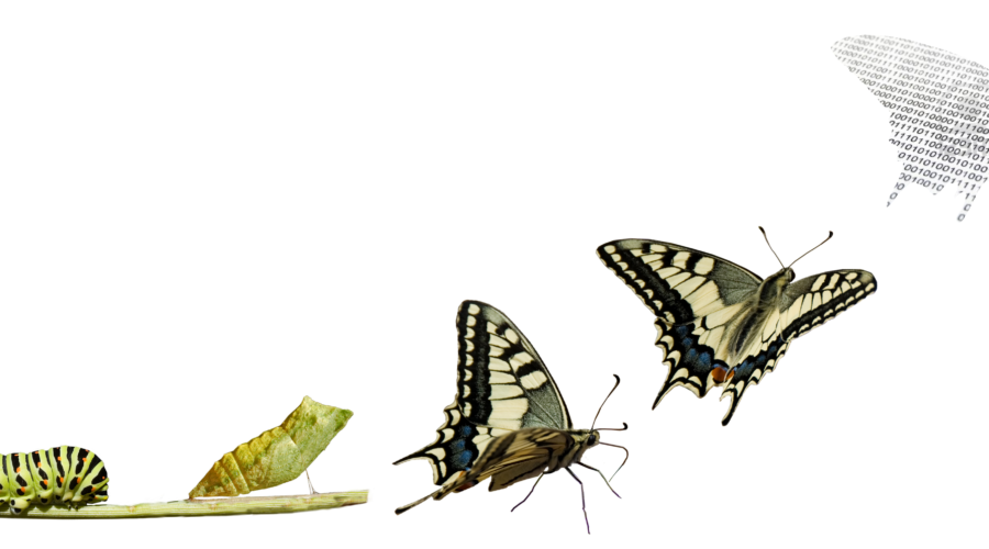 Estrategias para el manejo del cambio organizacional desde RRHH