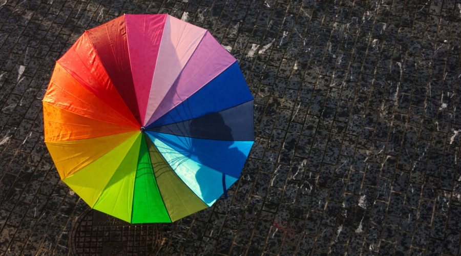 Claves para una organización resiliente talleres capacitacion empresarial profesional