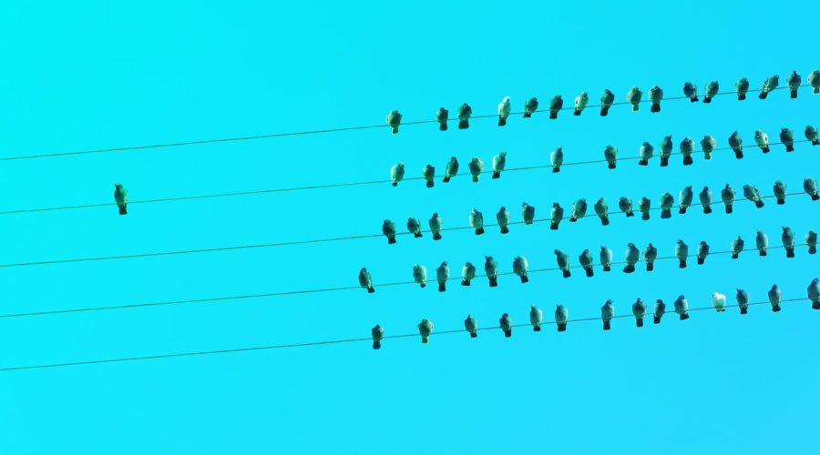 8 cambios y tendencias de las empresas y nuevos consumidores