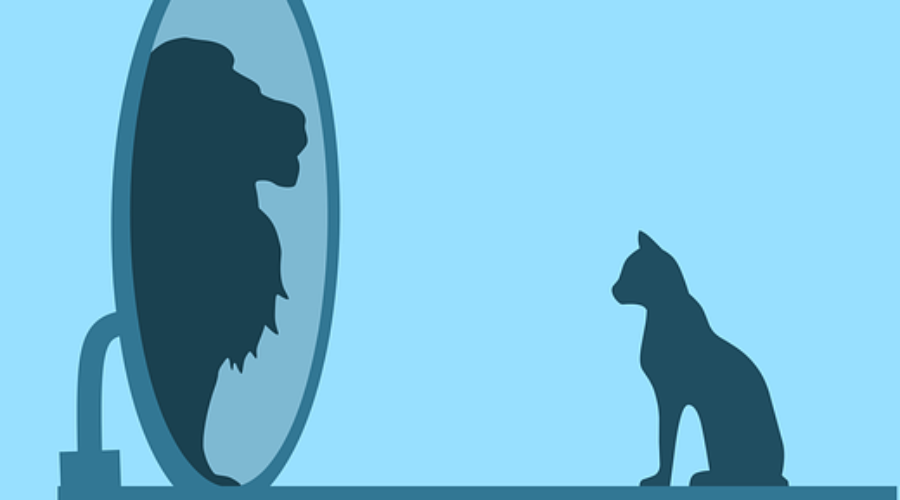 Un ejercicio duro y necesario que todo líder debe hacer para manejar su ego de líder