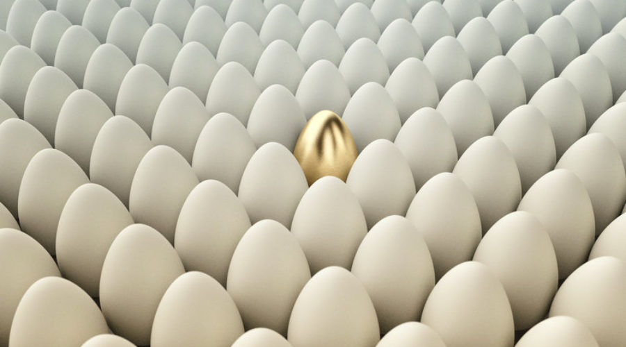 ¿Como discrepar con alguien que tiene más poder que usted?